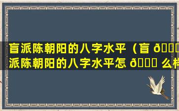 盲派陈朝阳的八字水平（盲 🐈 派陈朝阳的八字水平怎 🐅 么样）